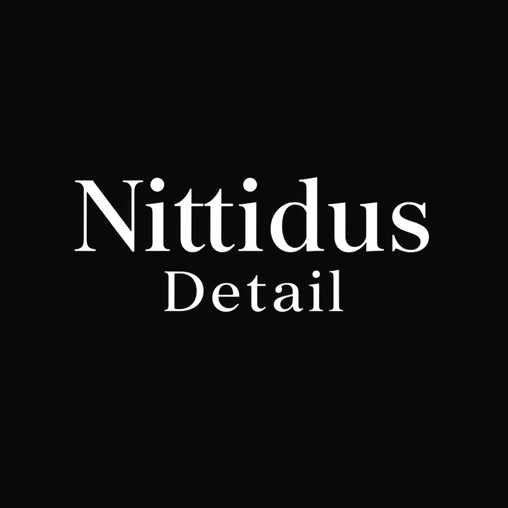 Main logo studio: Logótipo de texto simples: "Nitidus Detail". Uma única linha, ou "Nitidus" em cima e "Detail" por baixo, mas SEM repetir nenhuma palavra ou letra, sem