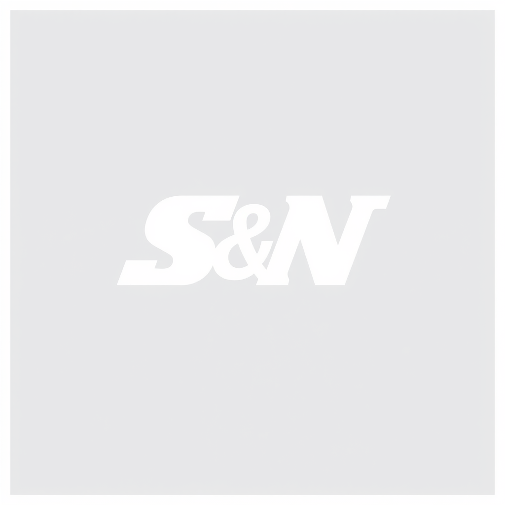 Main logo studio: S&N logo semplice ma nitido e chiaro